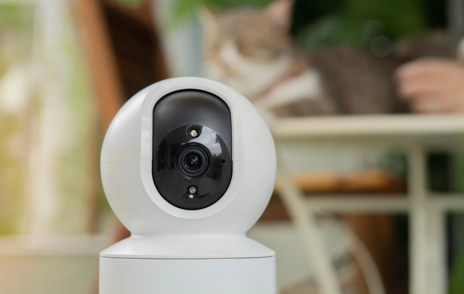 camera-surveillance-pour-animaux